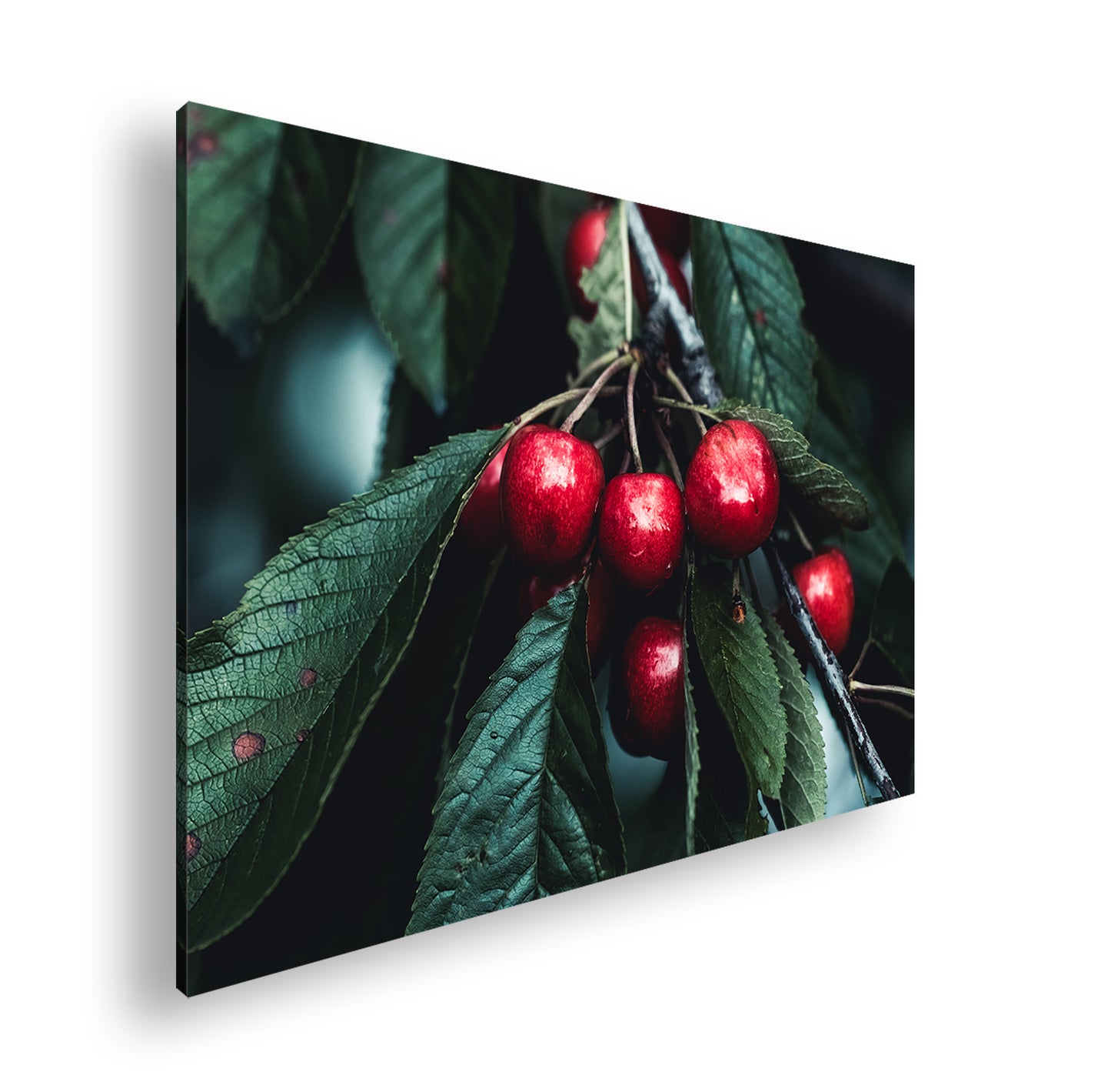 Hauptbild Farbig Standart