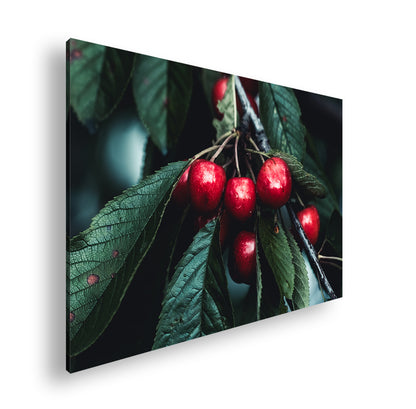 Hauptbild Farbig Standart