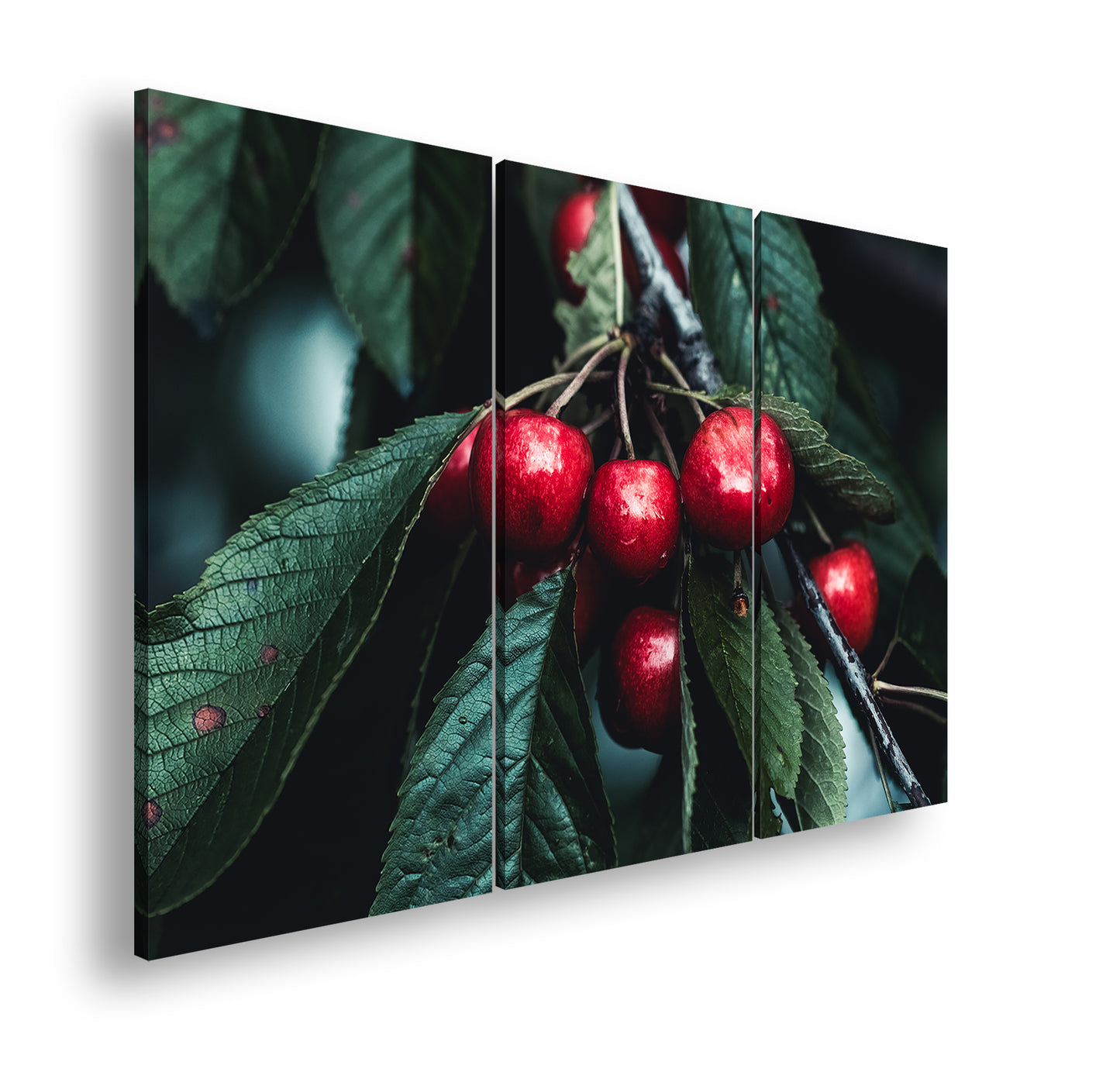 Hauptbild Farbig 3 Teilig