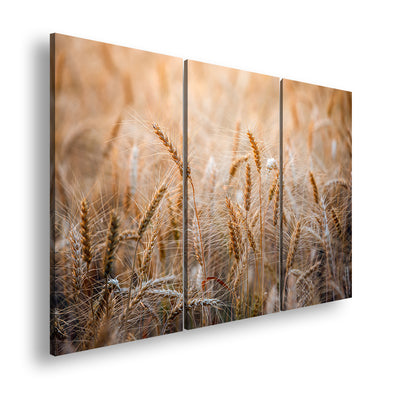 Hauptbild Farbig 3 Teilig