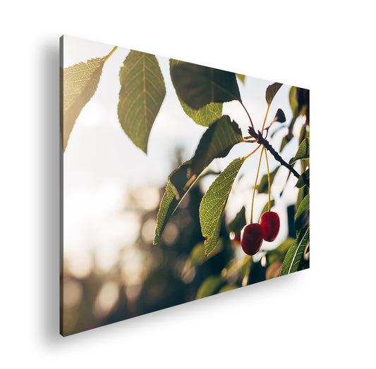 Hauptbild Farbig Standart