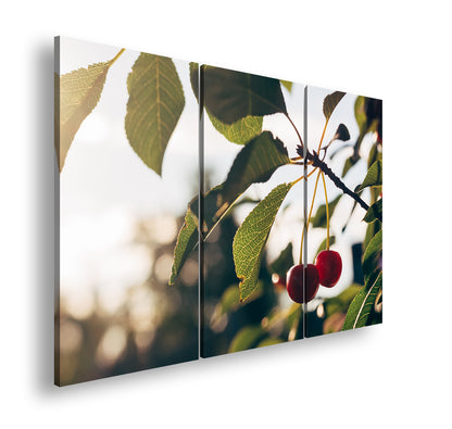 Hauptbild Farbig 3 Teilig