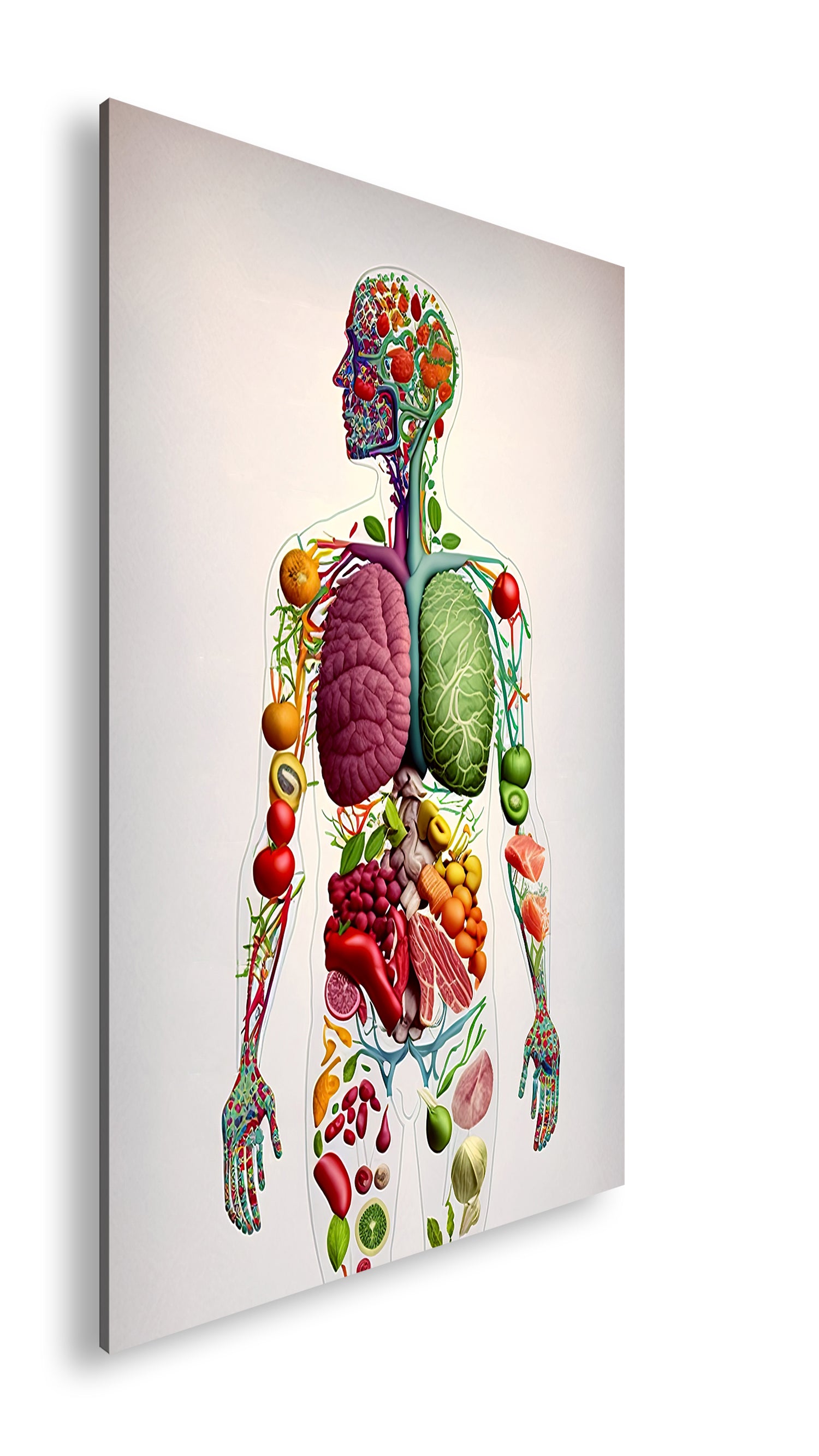 Hauptbild Farbig Standart