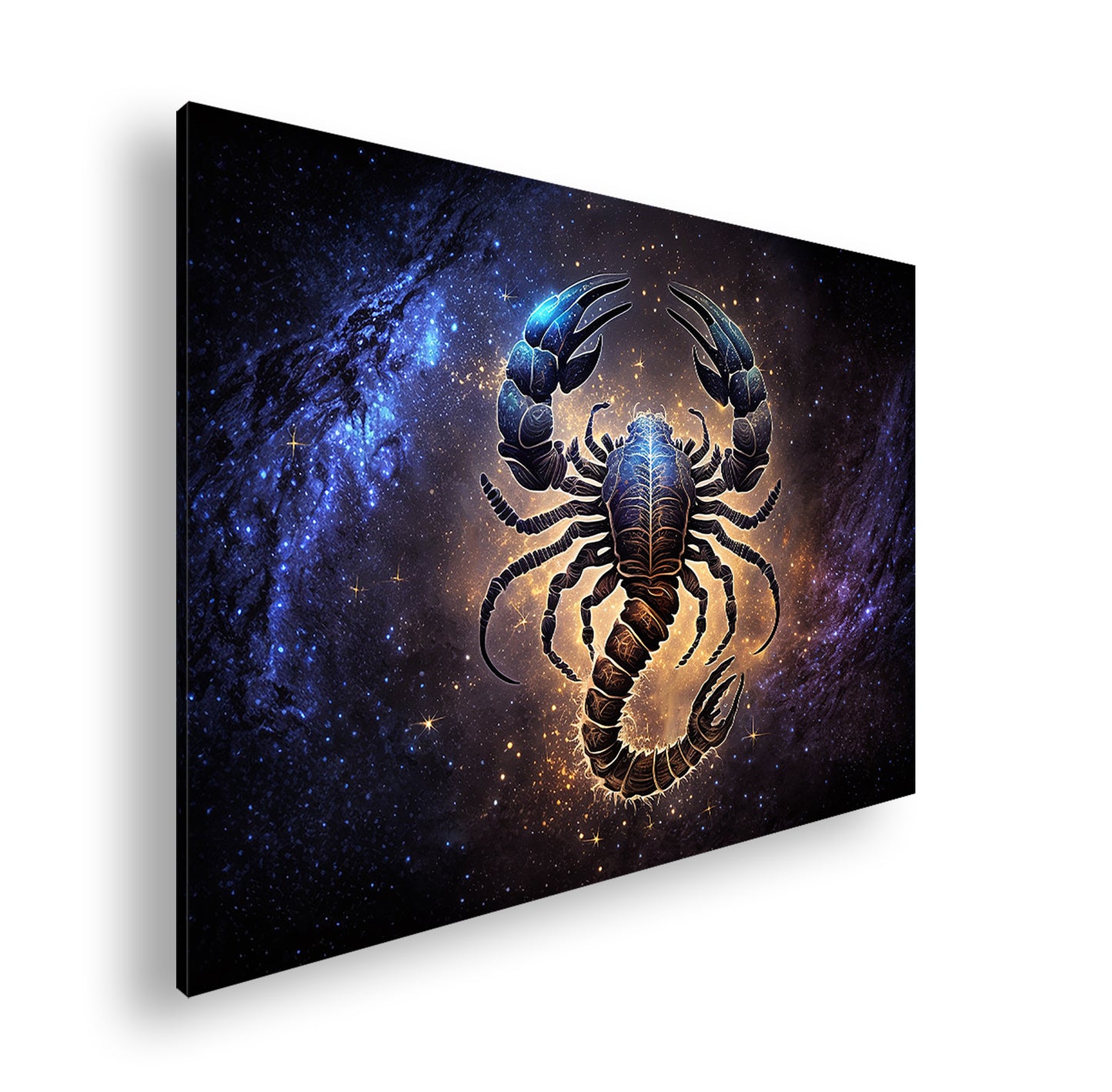 Hauptbild Farbig Standart