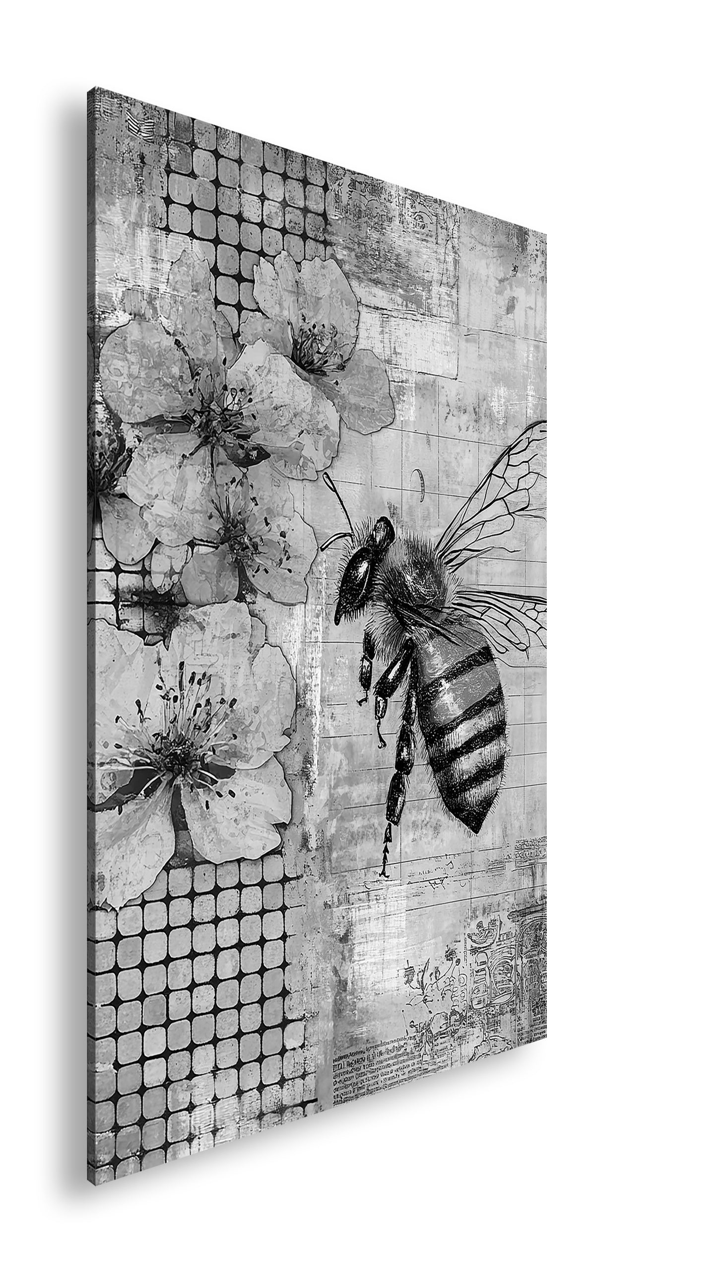 Hauptbild Schwarz & Weiß Standart