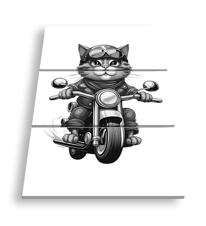 Hauptbild Schwarz & Weiß 3 Teilig