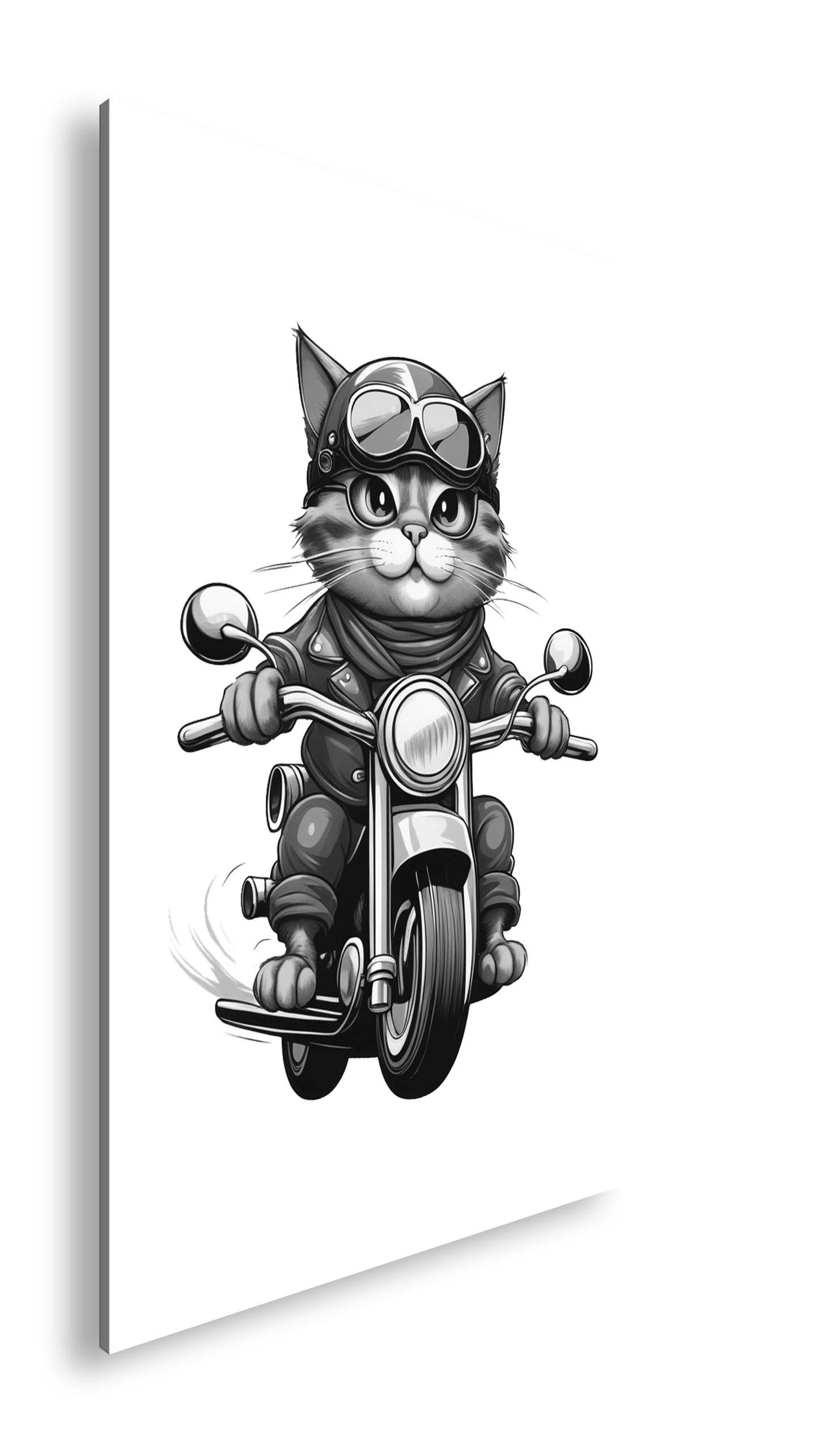 Hauptbild Schwarz & Weiß Standart