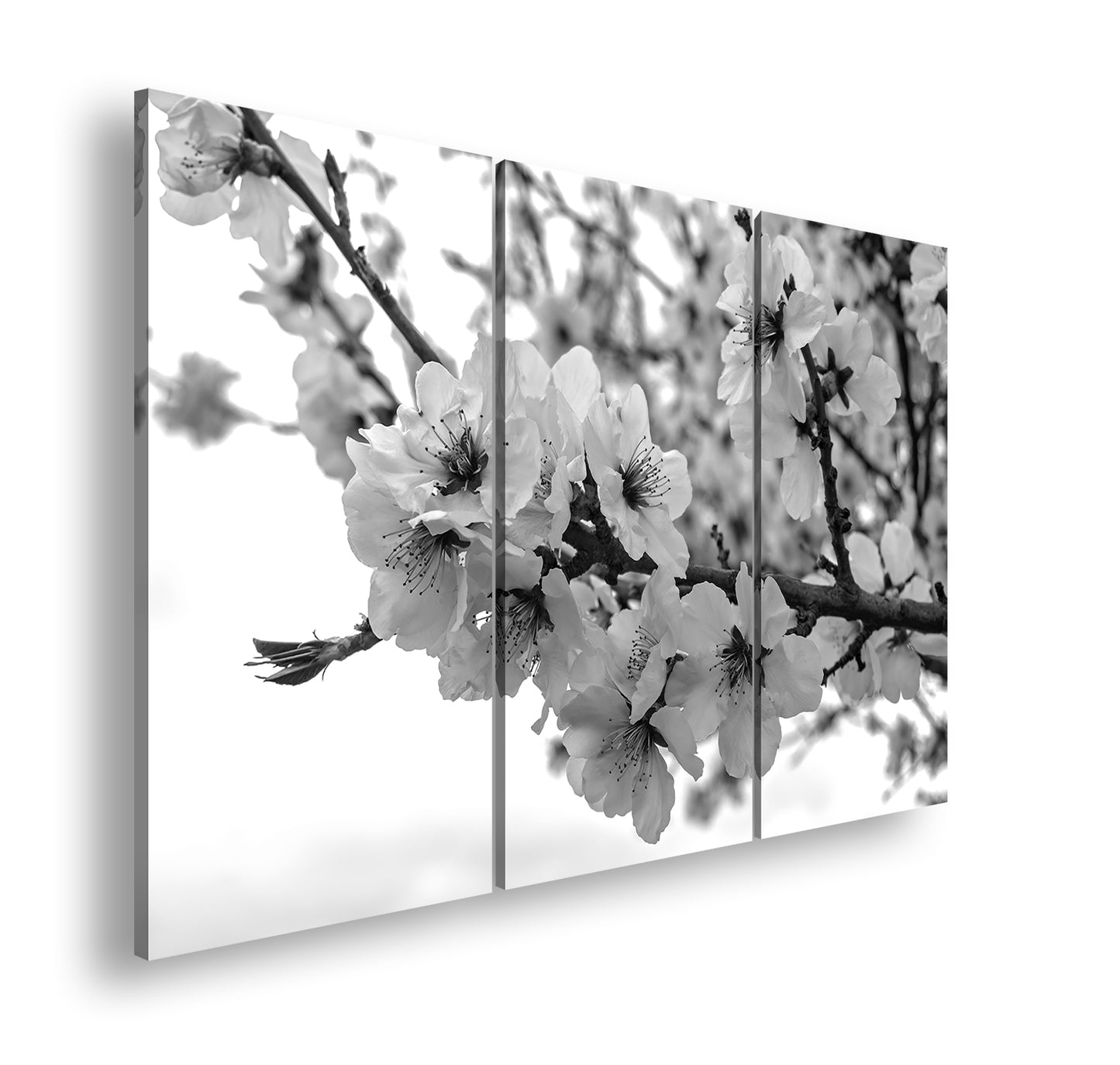 Hauptbild Schwarz & Weiß 3 Teilig