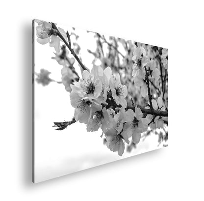 Hauptbild Schwarz & Weiß Standart