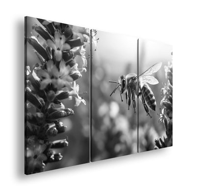 Hauptbild Schwarz & Weiß 3 Teilig