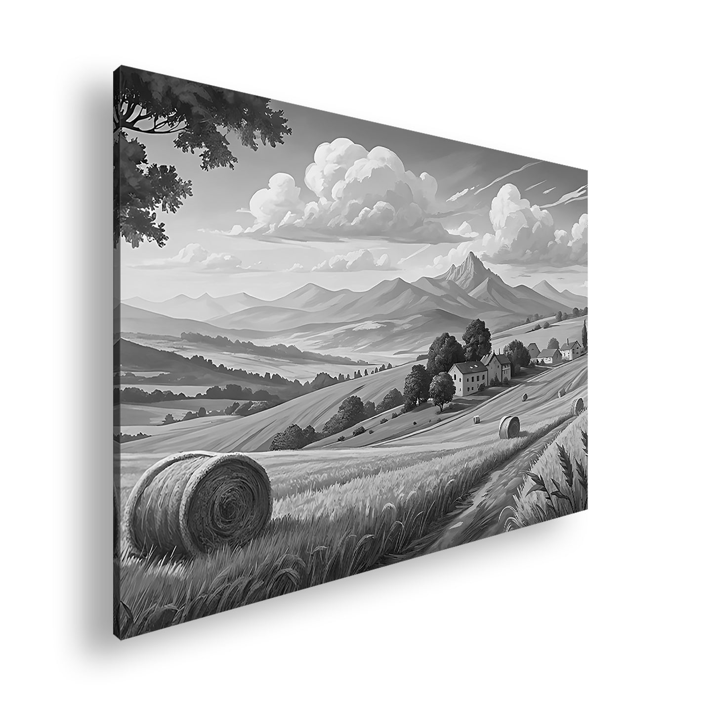 Hauptbild Schwarz & Weiß Standart