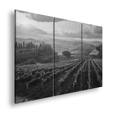 Hauptbild Schwarz & Weiß 3 Teilig