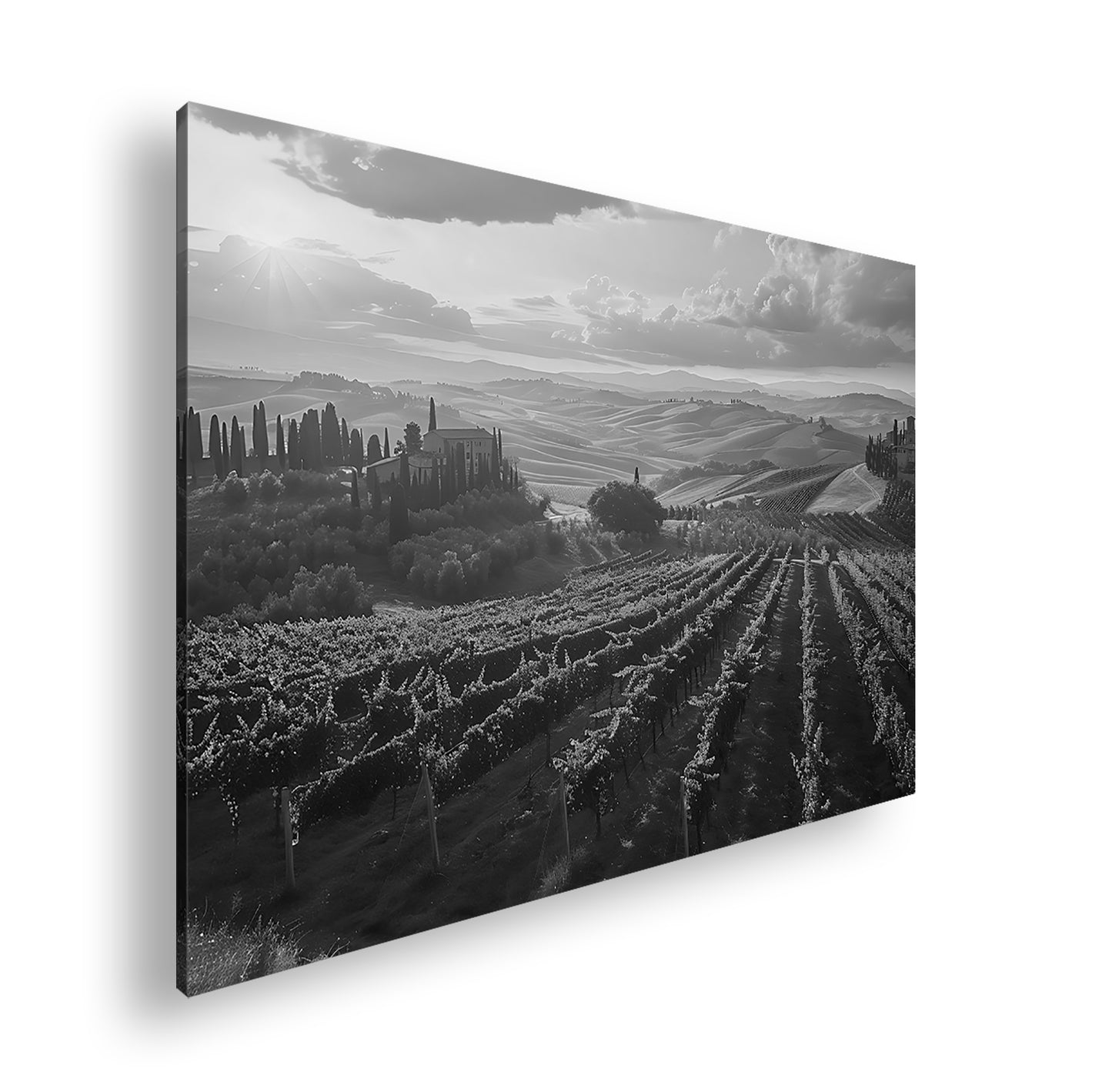 Hauptbild Schwarz & Weiß Standart