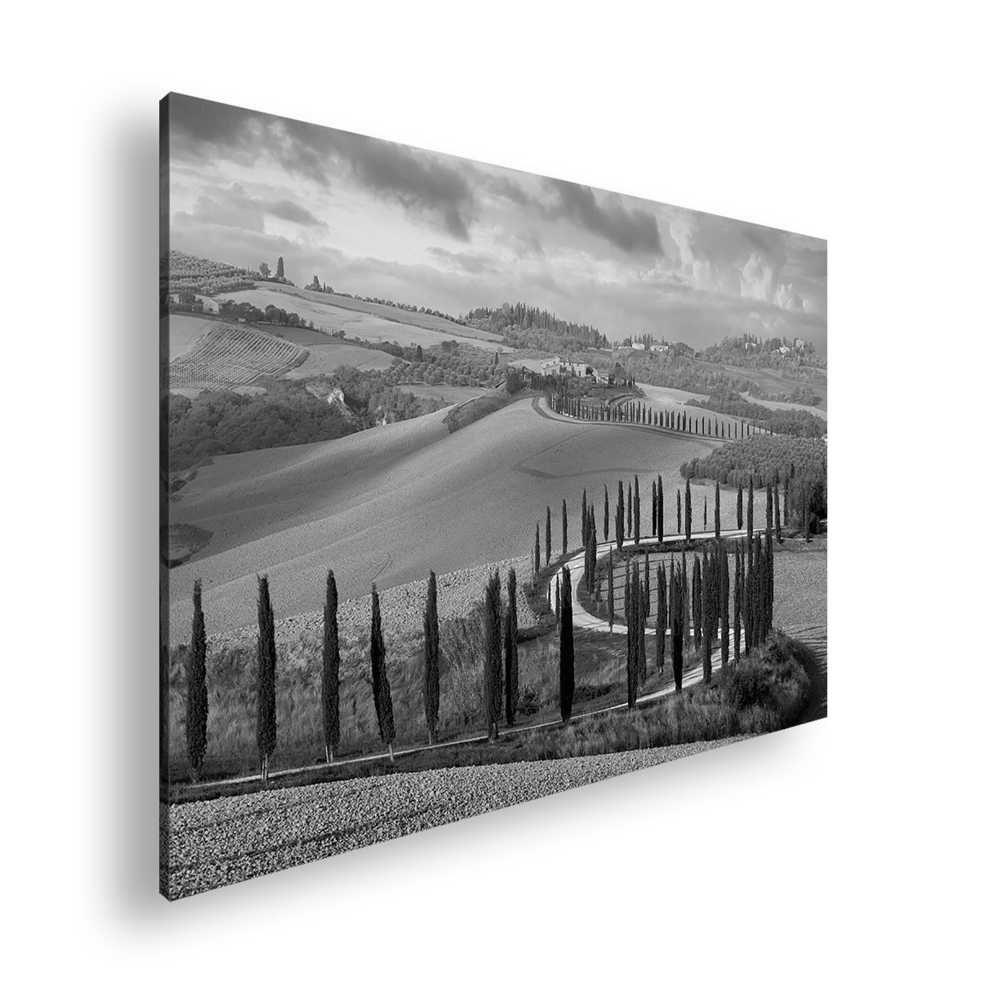 Hauptbild Schwarz & Weiß Standart