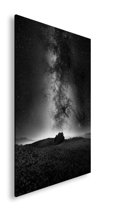 Hauptbild Schwarz & Weiß Standart