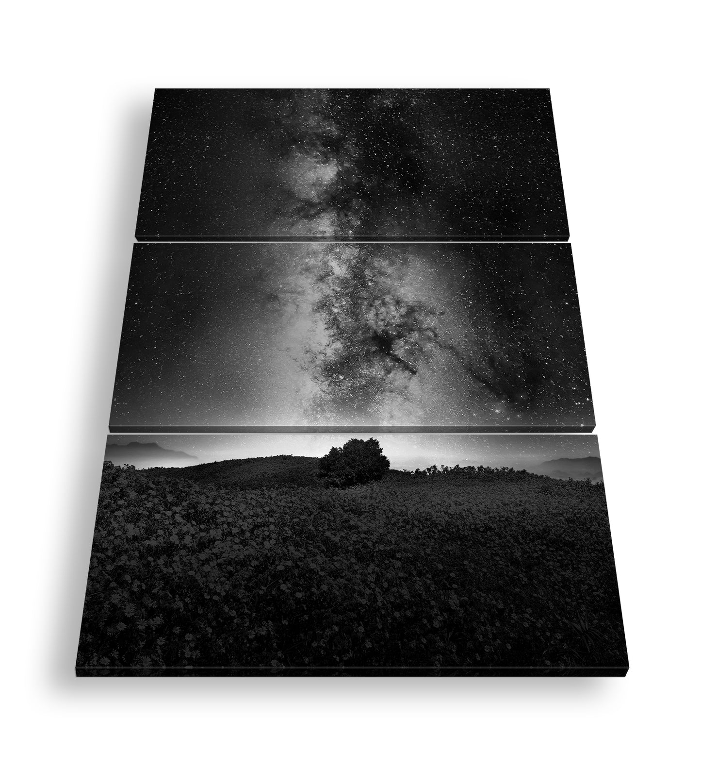 Hauptbild Schwarz & Weiß 3 Teilig