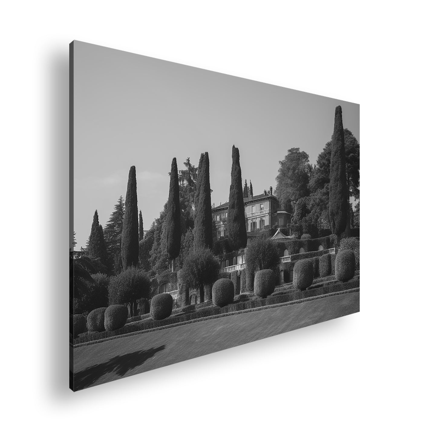 Hauptbild Schwarz & Weiß Standart