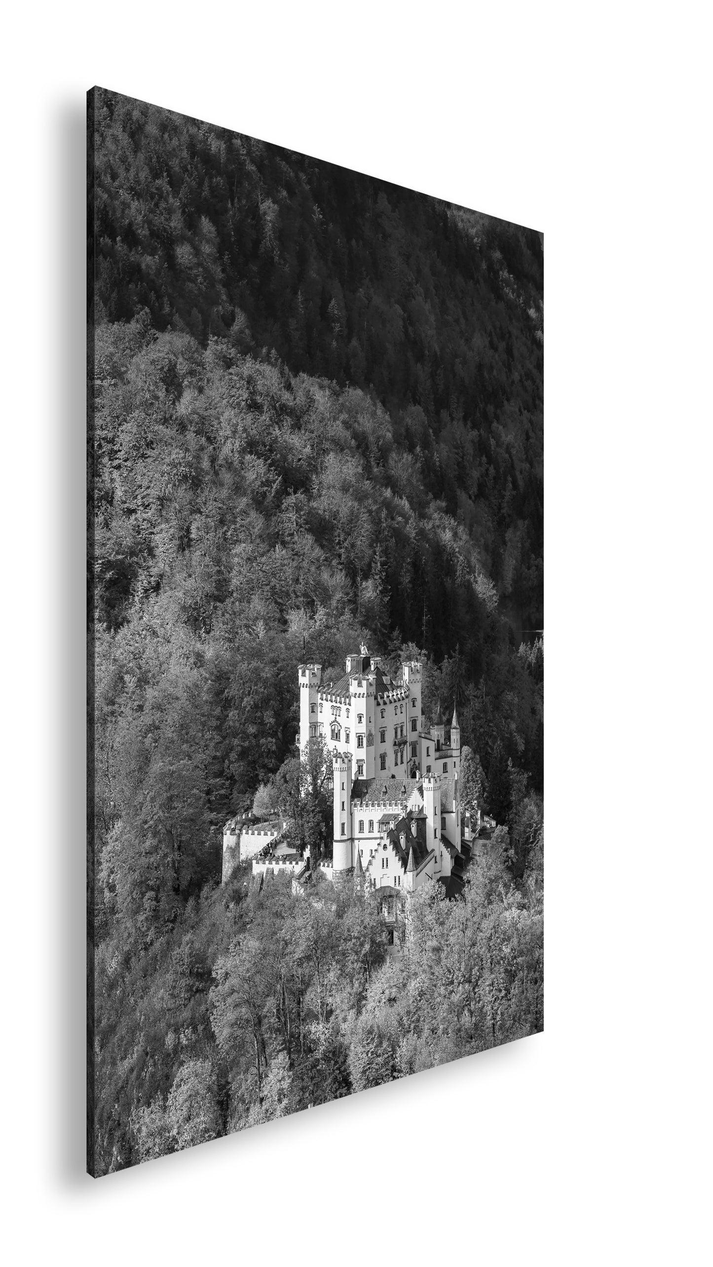 Hauptbild Schwarz & Weiß Standart