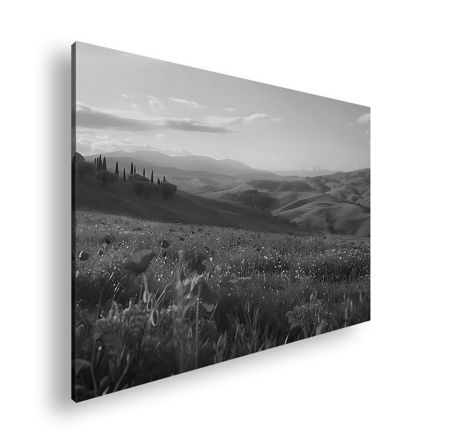 Hauptbild Schwarz & Weiß Standart