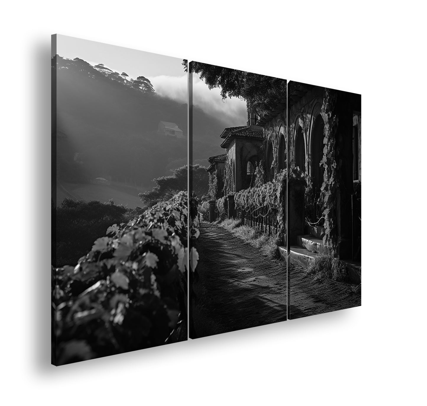 Hauptbild Schwarz & Weiß 3 Teilig