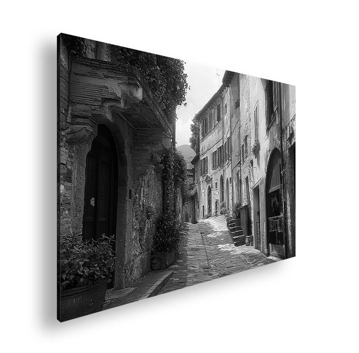 Hauptbild Schwarz & Weiß Standart