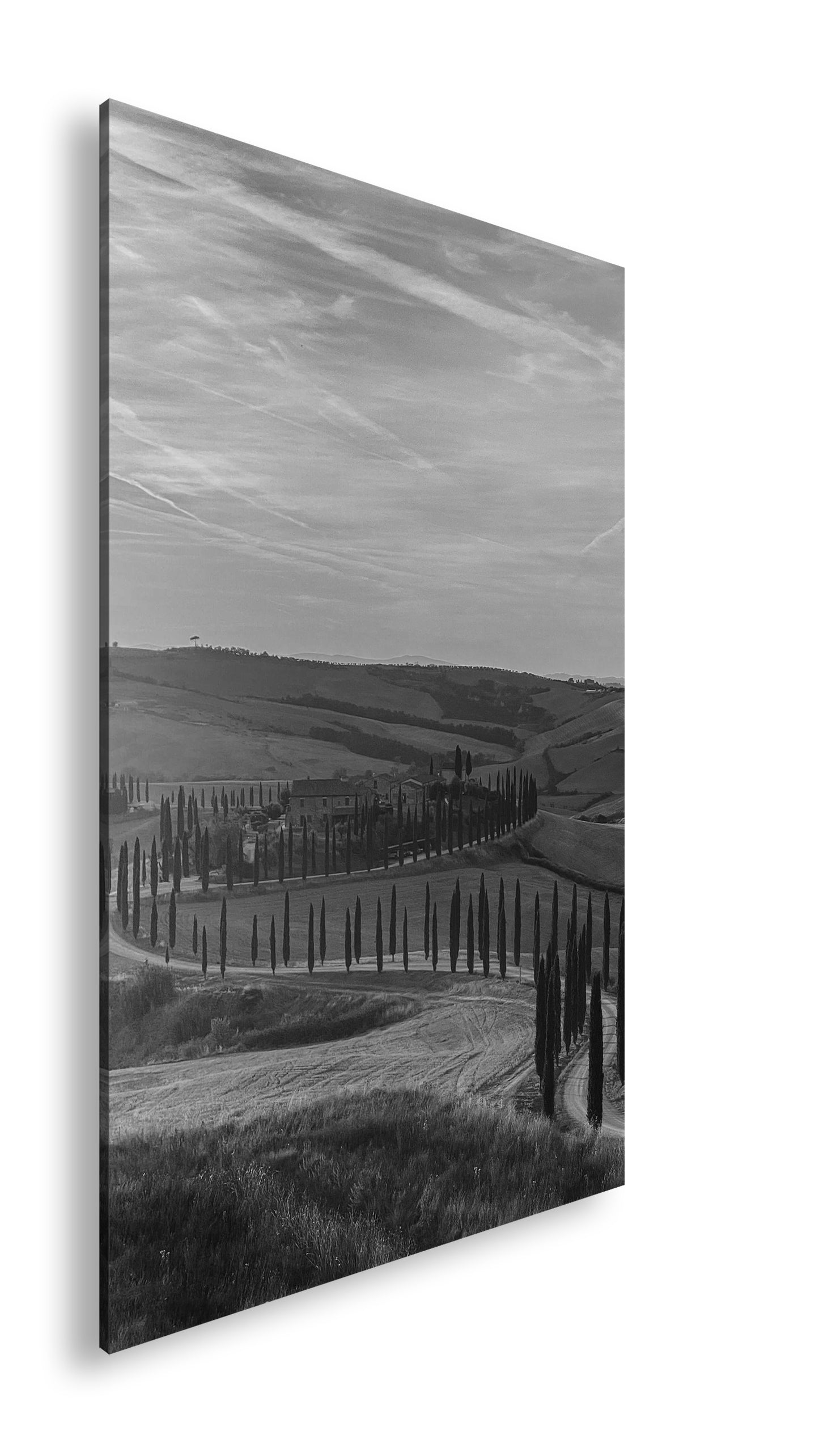 Hauptbild Schwarz & Weiß Standart