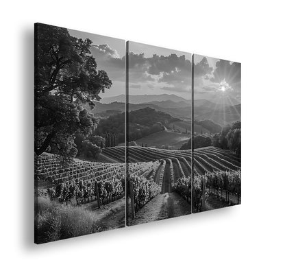 Hauptbild Schwarz & Weiß 3 Teilig