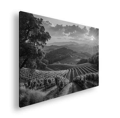 Hauptbild Schwarz & Weiß Standart