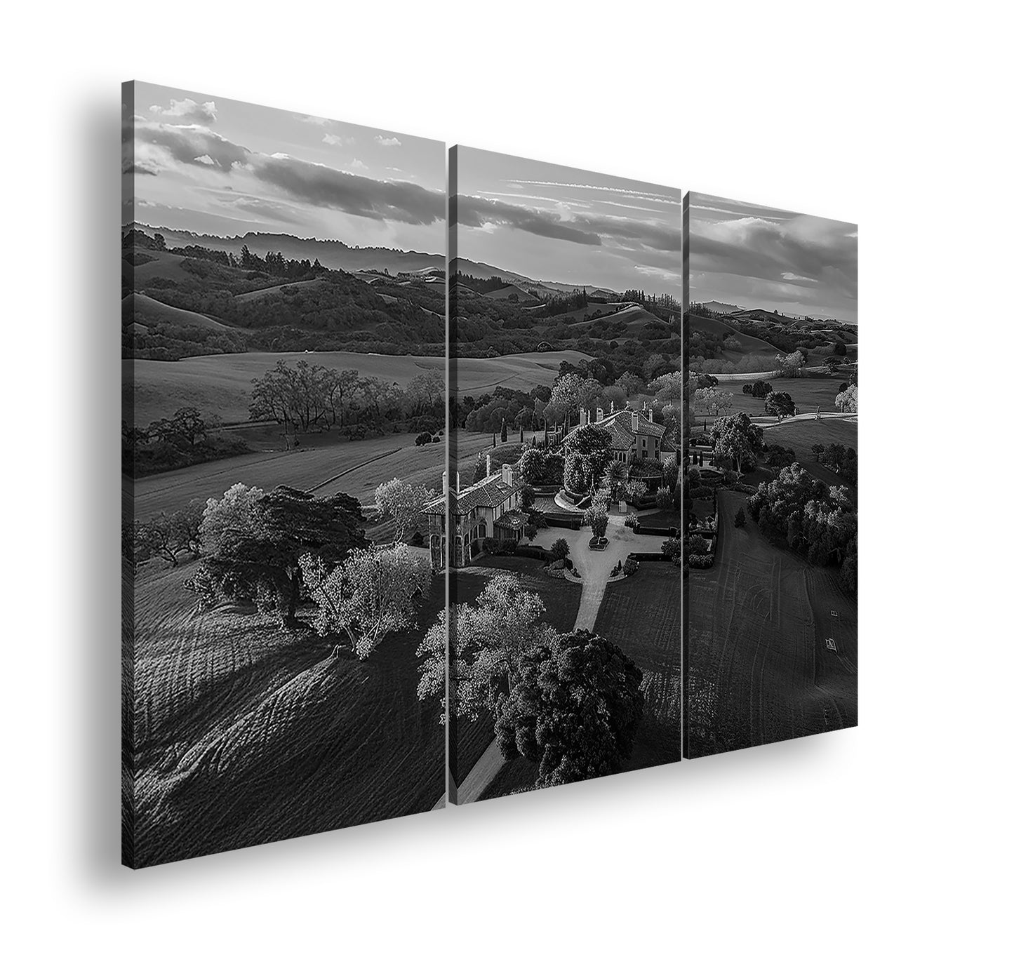 Hauptbild Schwarz & Weiß 3 Teilig