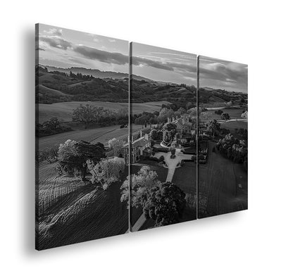 Hauptbild Schwarz & Weiß 3 Teilig