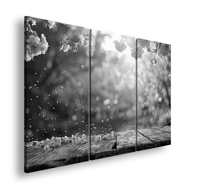 Hauptbild Schwarz & Weiß 3 Teilig