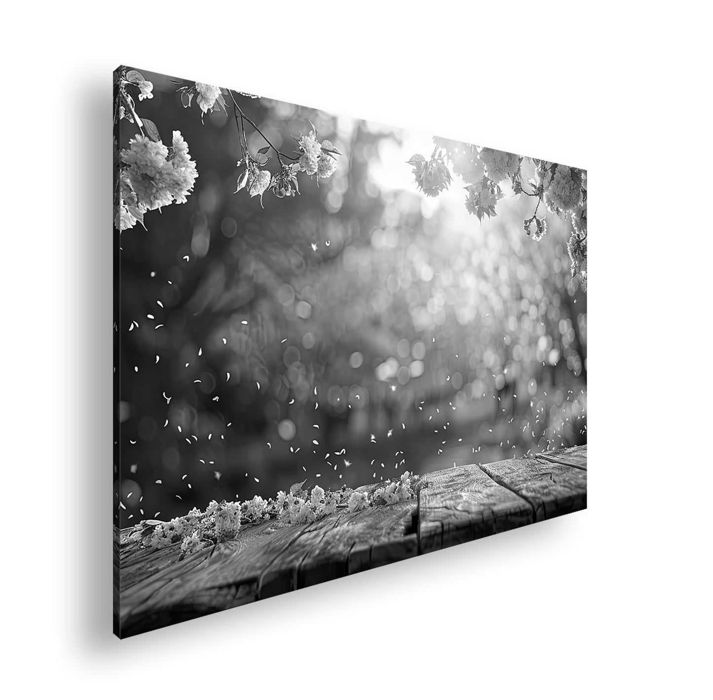 Hauptbild Schwarz & Weiß Standart