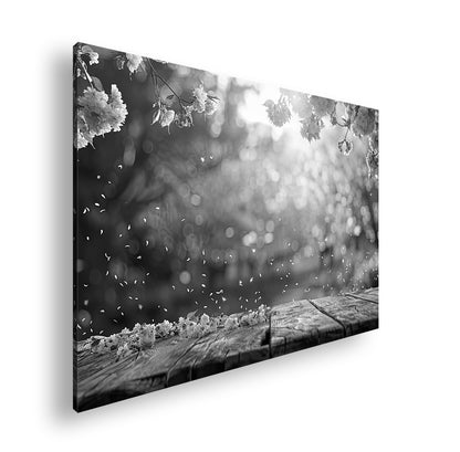 Hauptbild Schwarz & Weiß Standart