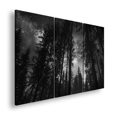 Hauptbild Schwarz & Weiß 3 Teilig