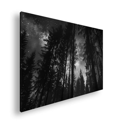 Hauptbild Schwarz & Weiß Standart