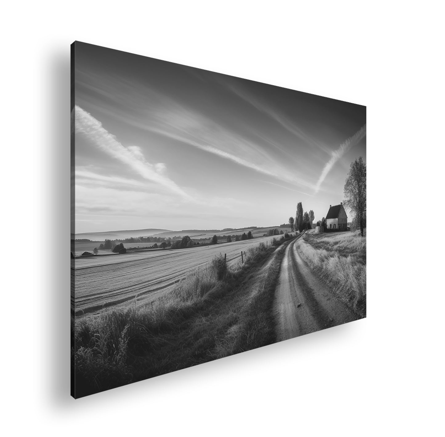 Hauptbild Schwarz & Weiß Standart