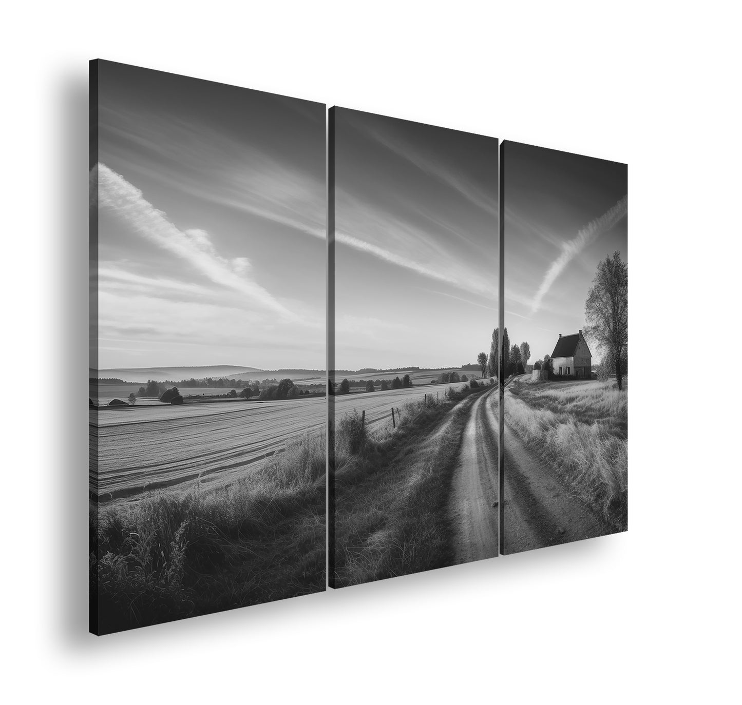 Hauptbild Schwarz & Weiß 3 Teilig