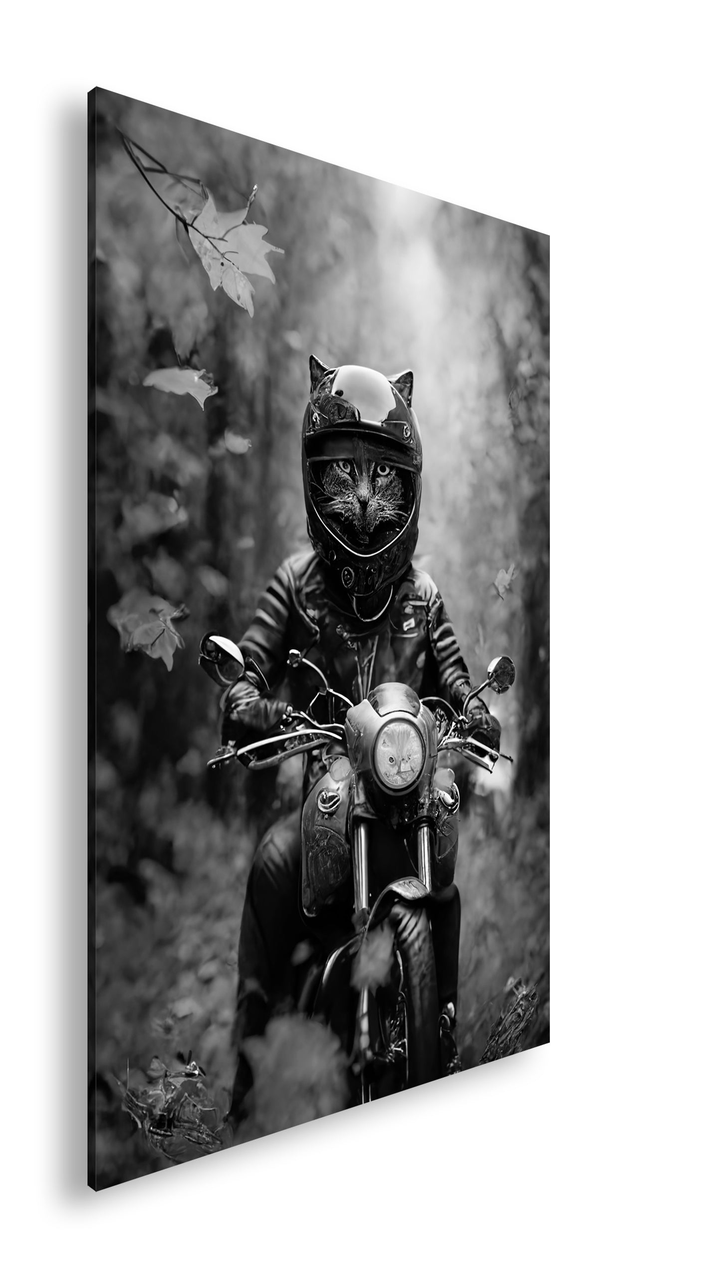 Hauptbild Schwarz & Weiß Standart