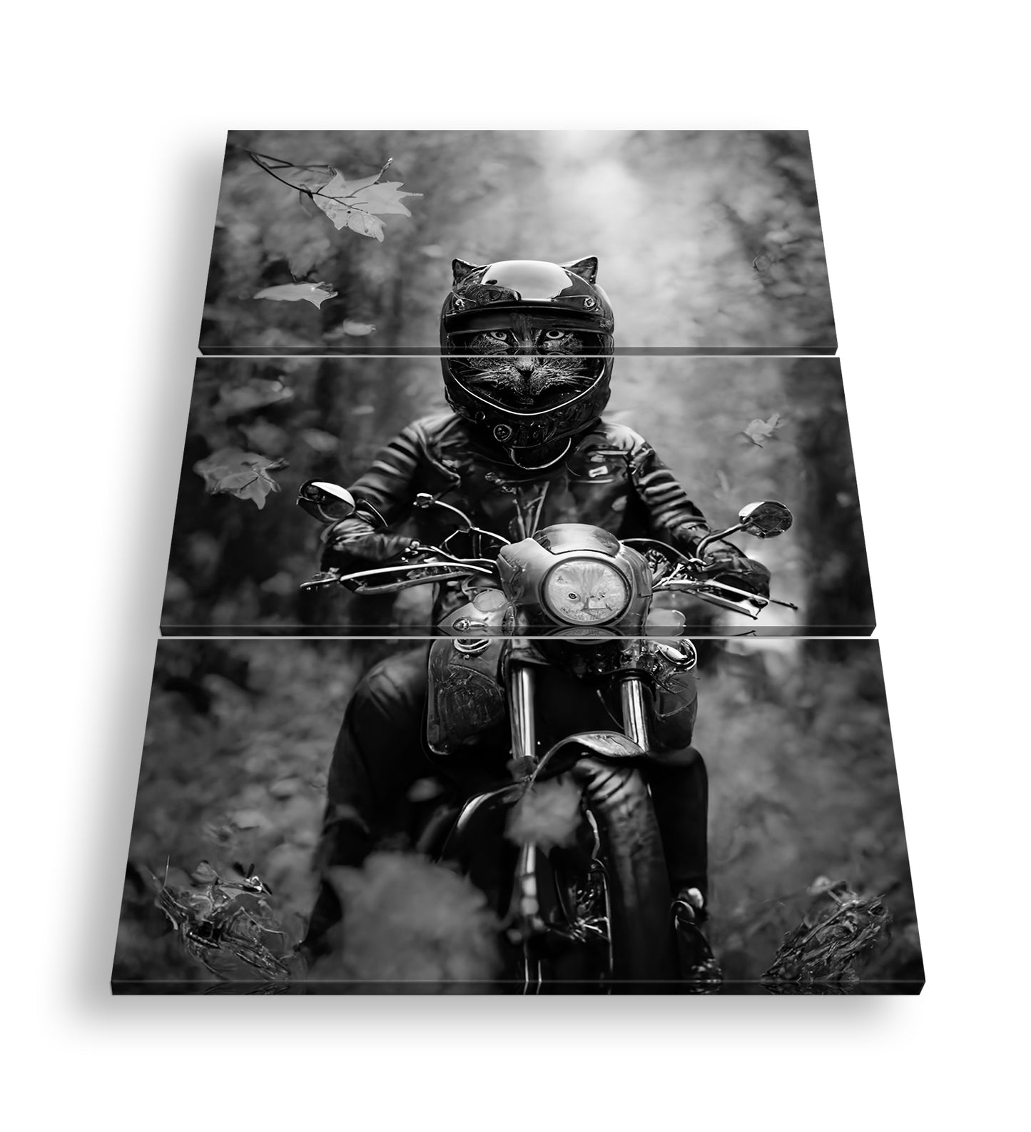 Hauptbild Schwarz & Weiß 3 Teilig