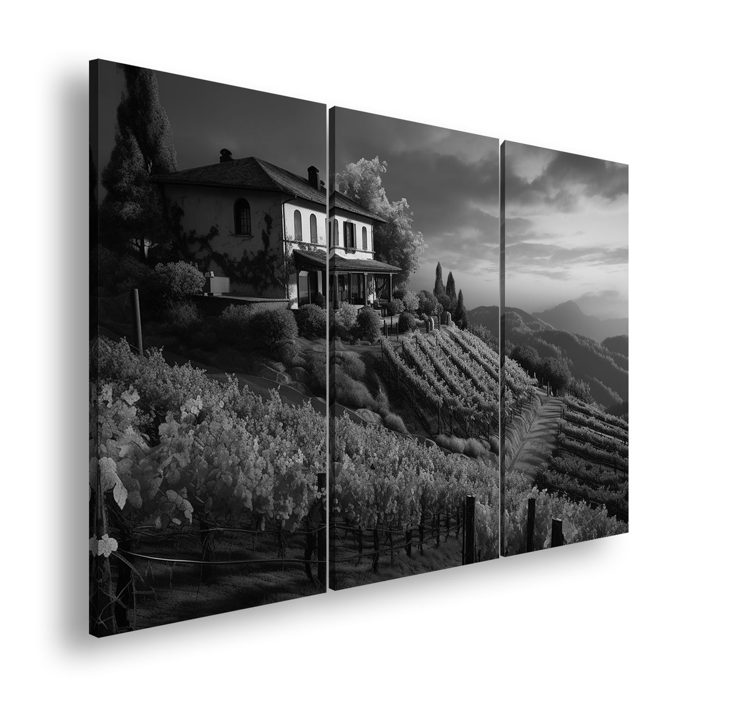 Hauptbild Schwarz & Weiß 3 Teilig