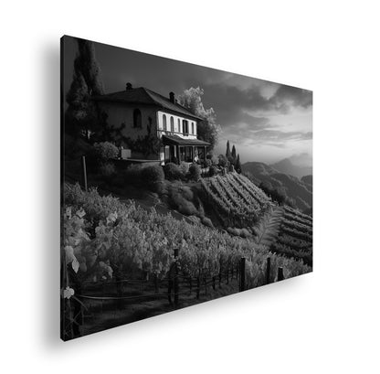 Hauptbild Schwarz & Weiß Standart