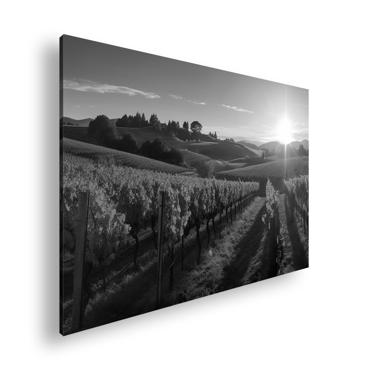 Hauptbild Schwarz & Weiß Standart