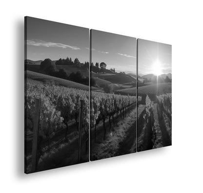 Hauptbild Schwarz & Weiß 3 Teilig