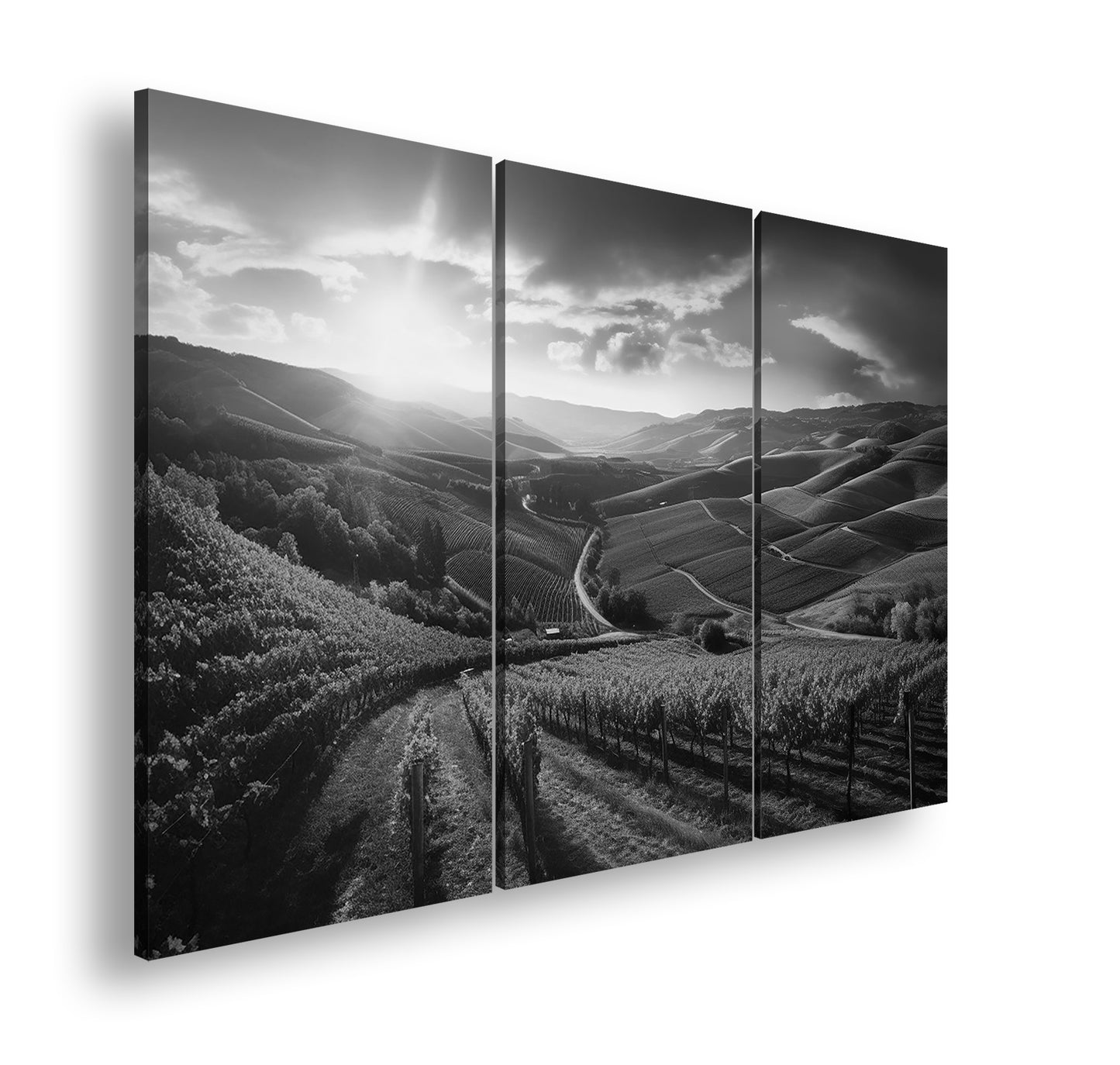 Hauptbild Schwarz & Weiß 3 Teilig