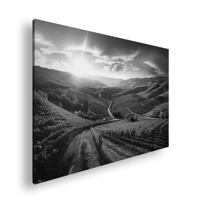 Hauptbild Schwarz & Weiß Standart