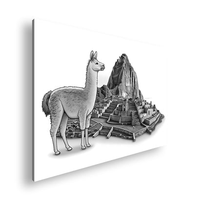 Hauptbild Schwarz & Weiß Standart