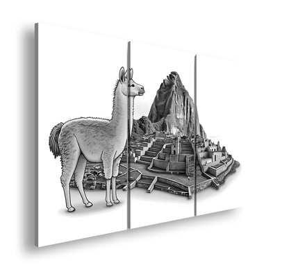 Hauptbild Schwarz & Weiß 3 Teilig