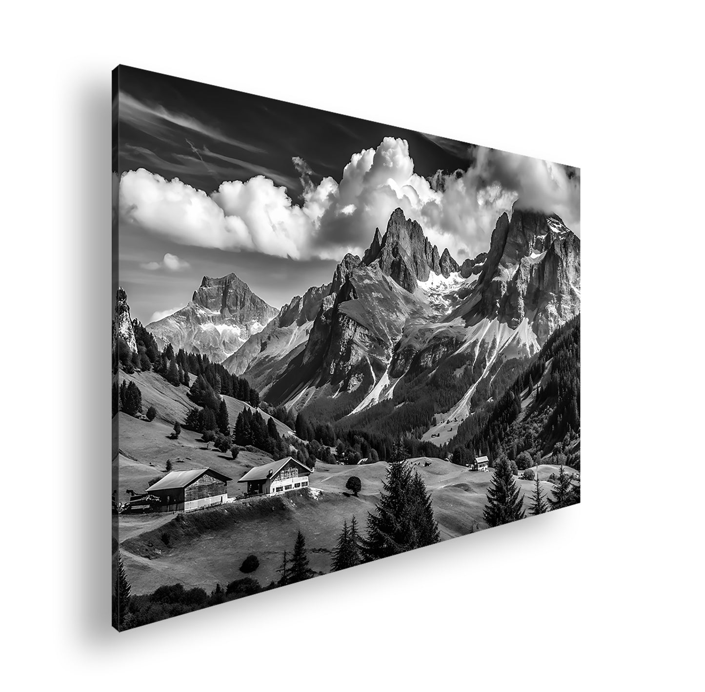 Hauptbild Schwarz & Weiß Standart