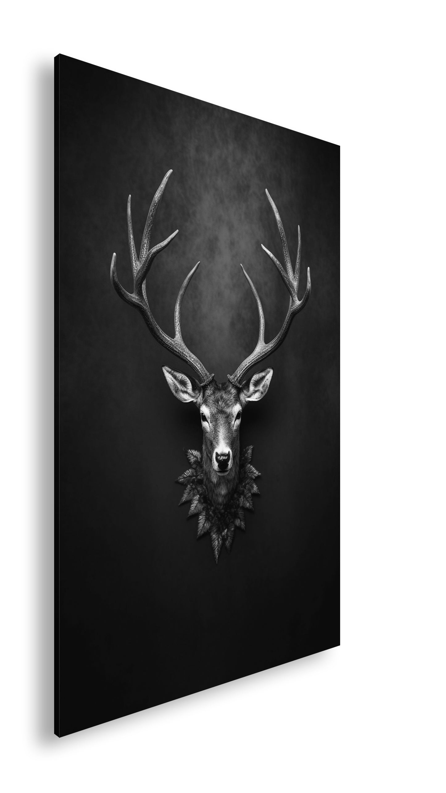 Hauptbild Schwarz & Weiß Standart