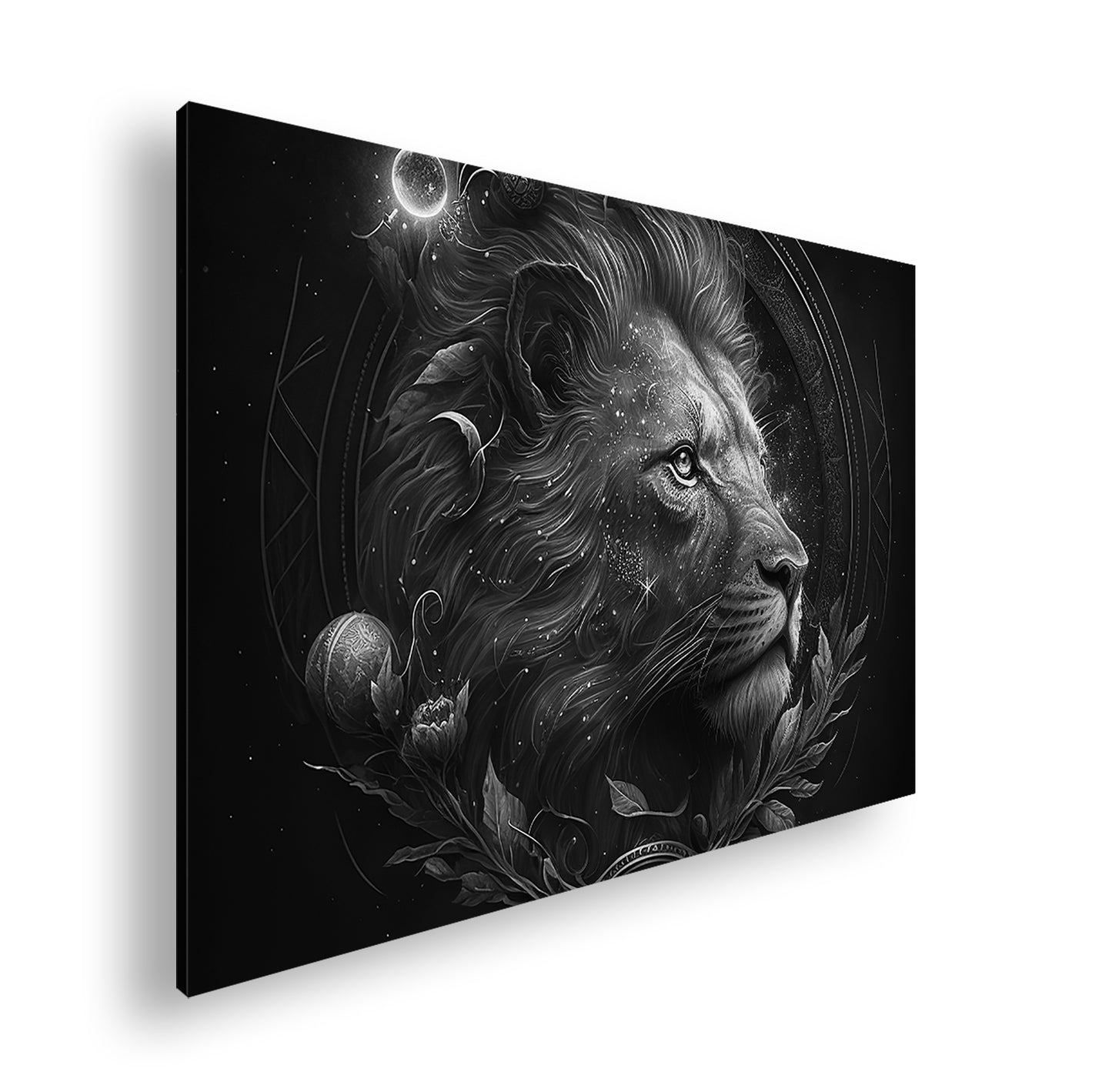 Hauptbild Schwarz & Weiß Standart